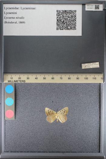Media type: image;   Entomology 193671